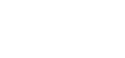 Leos Media Interactive