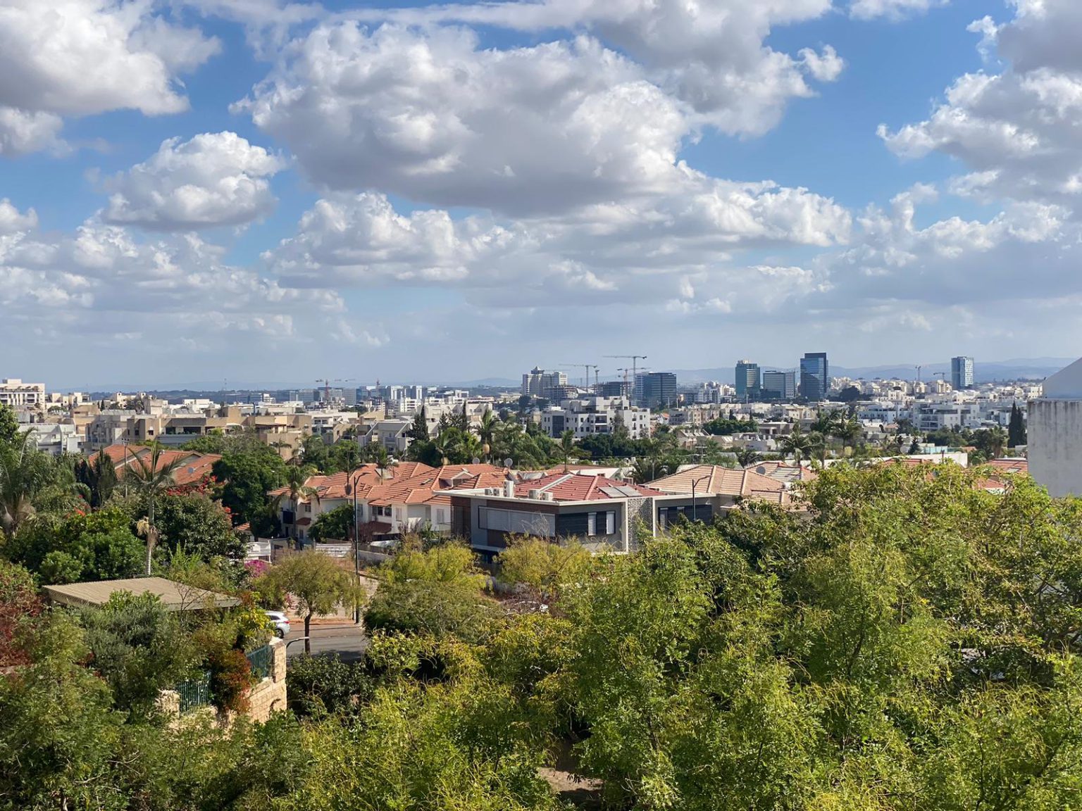 Sarah Aaronson – Ra’anana